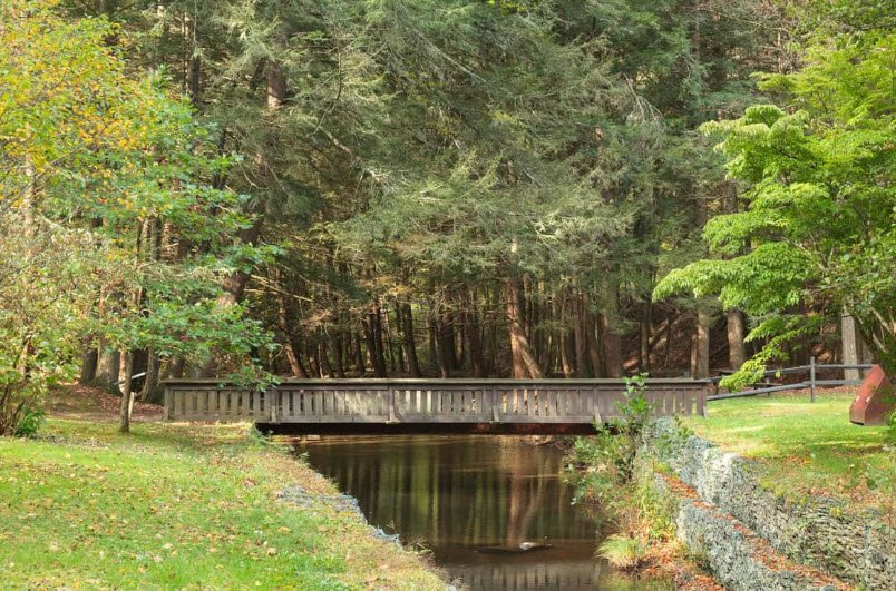 Sizerville State Park, Pennsylvania, USA